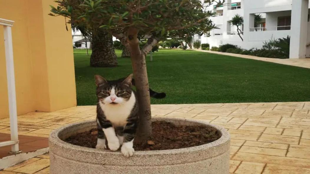 Casa En Urb. Con La Piscina Mas Grande De Javea. 외부 사진