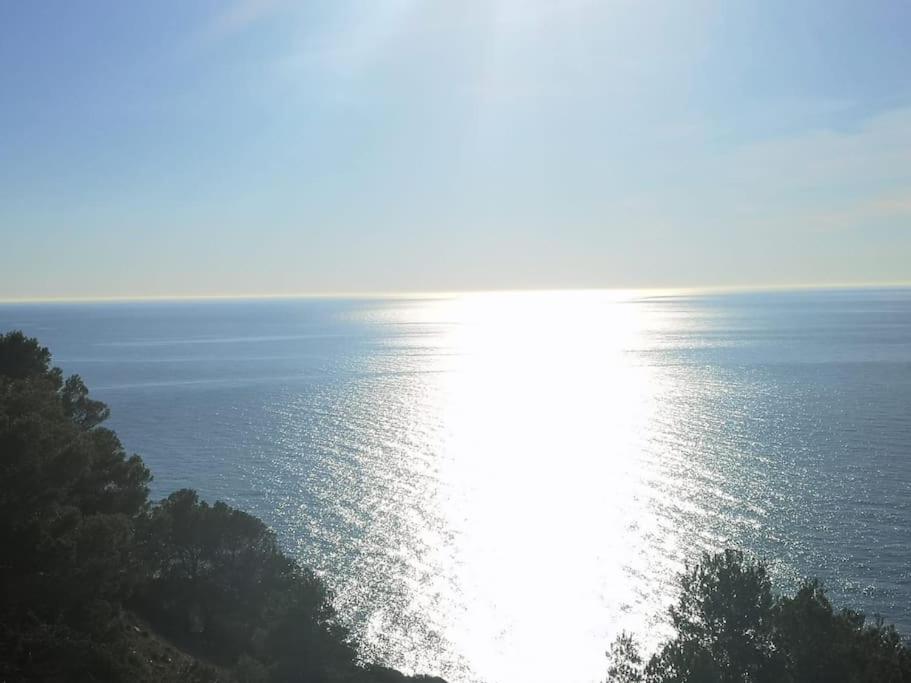 Casa En Urb. Con La Piscina Mas Grande De Javea. 외부 사진